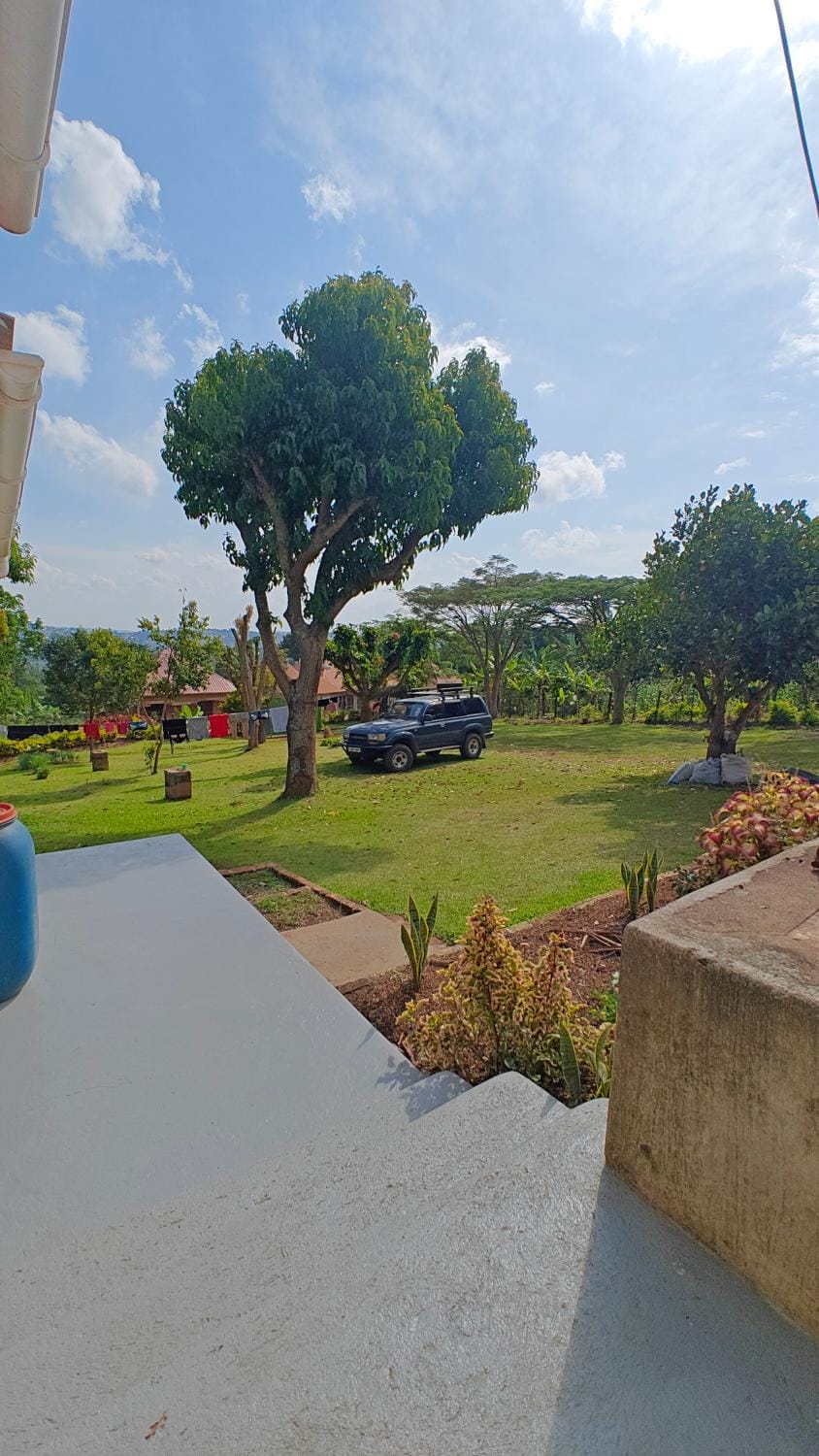 Natural landscape, Garden view