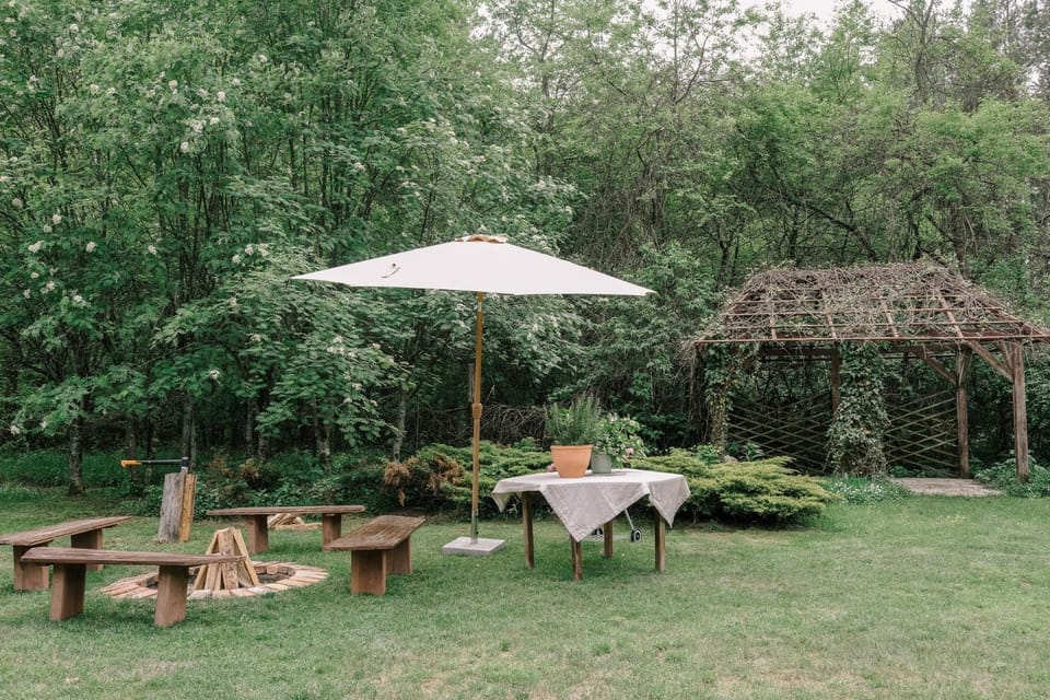 Day, Natural landscape, Garden, Garden view
