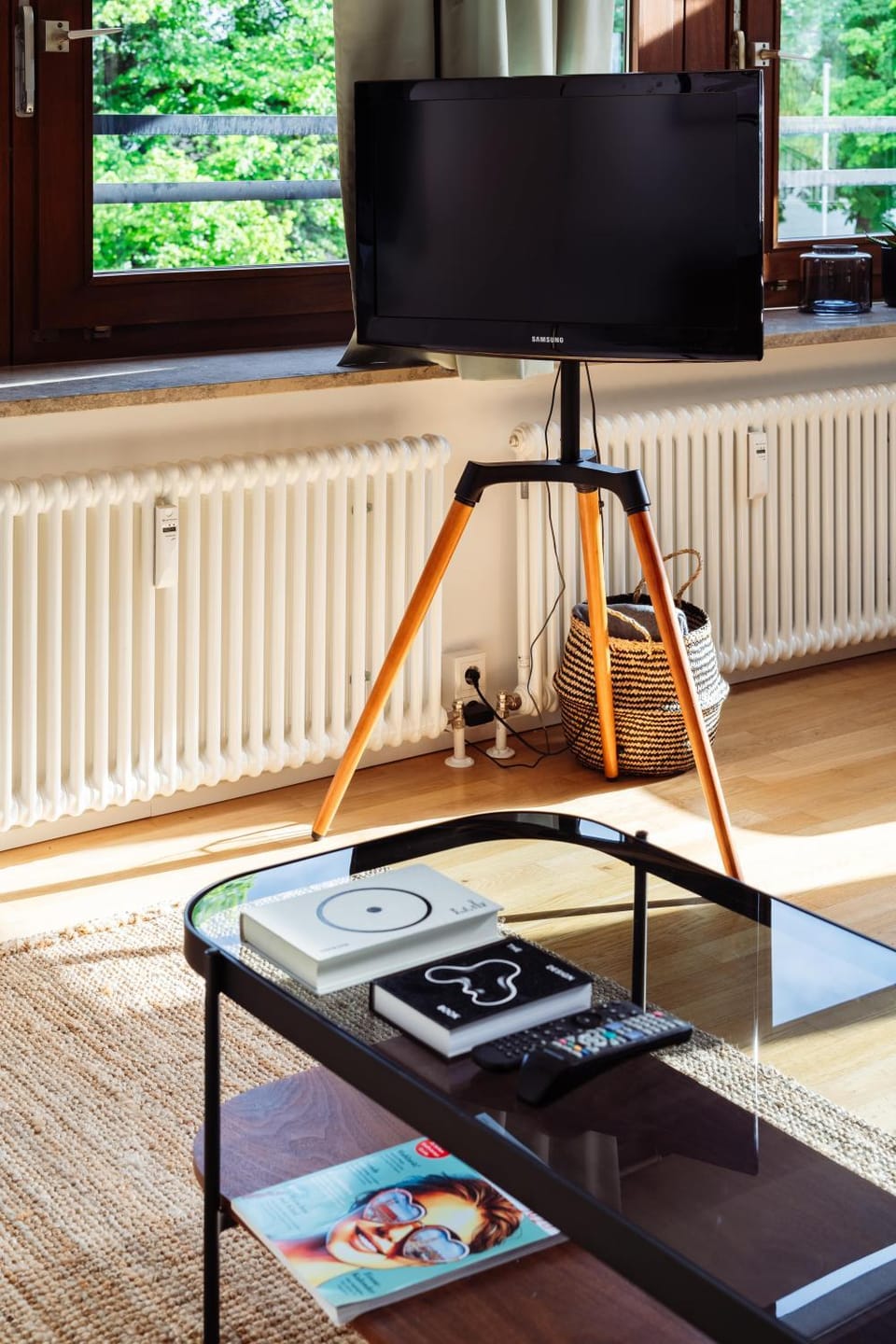 TV and multimedia