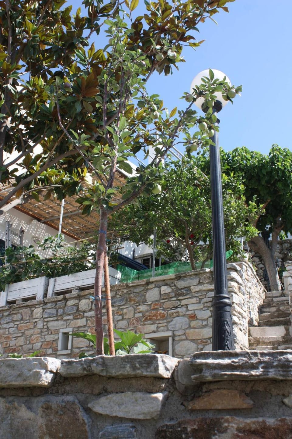 Villa Skamnia House in Naxos, Naxos and Lesser Cyclades, Greece