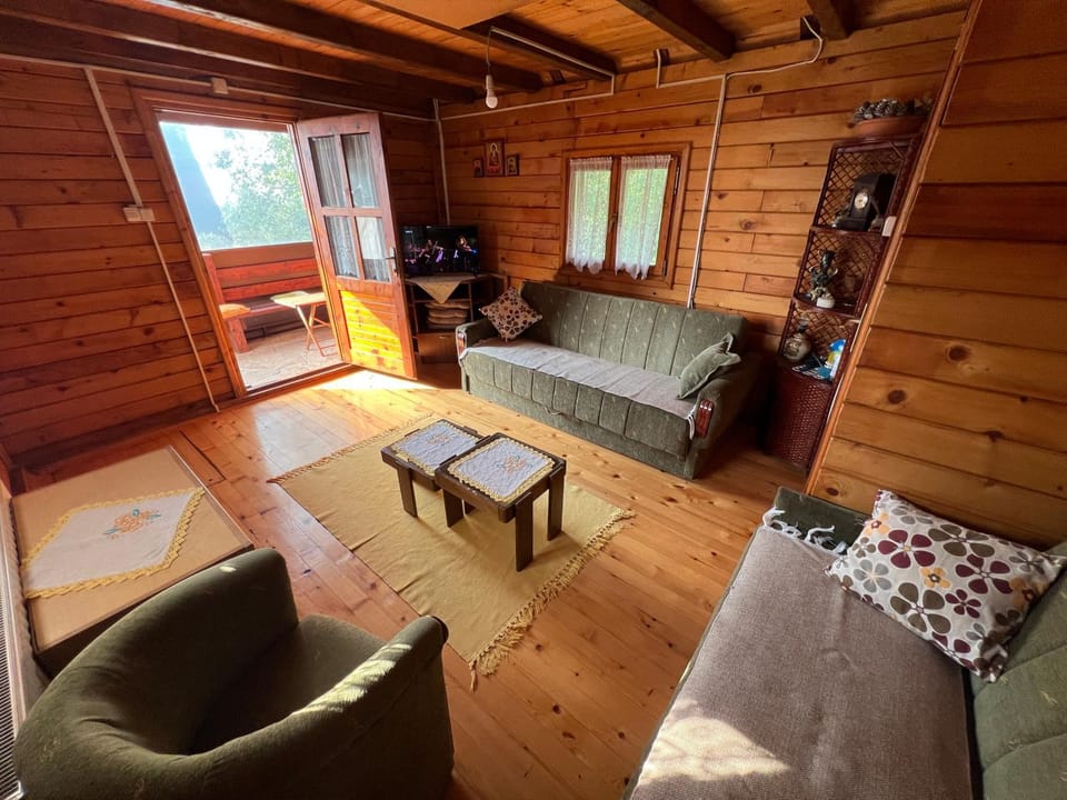 Kraljeva breza House in Zlatibor District, Serbia