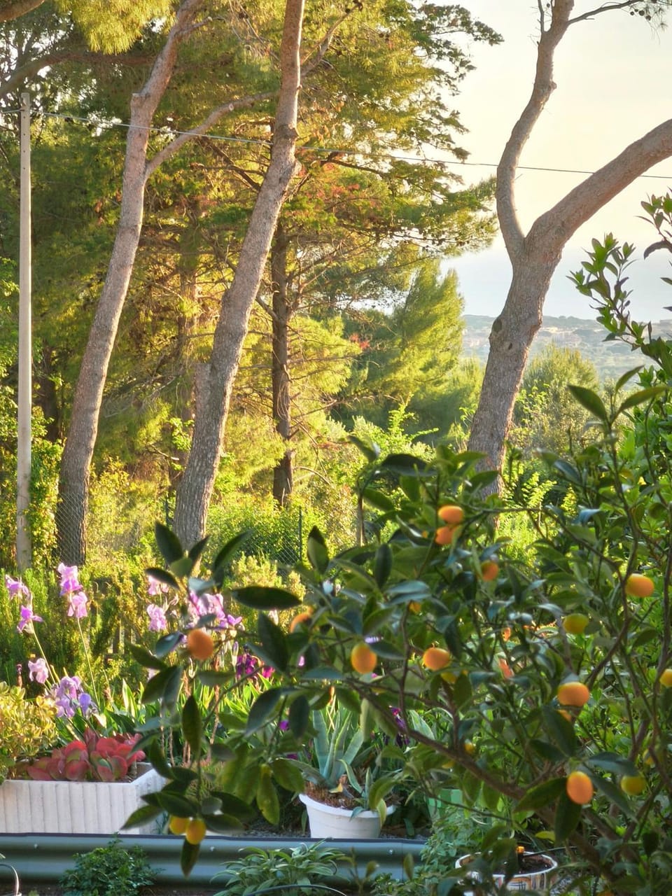 Al Castelluccio Bed and Breakfast in San Vincenzo