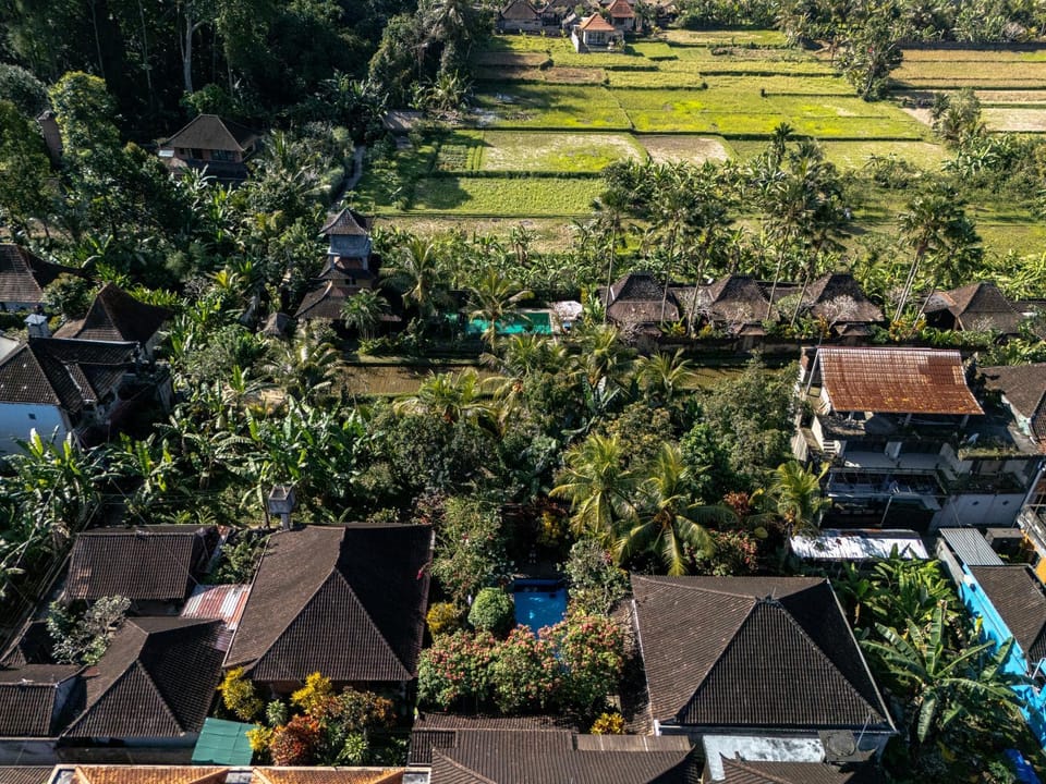 Property building, Neighbourhood, Natural landscape, Bird's eye view