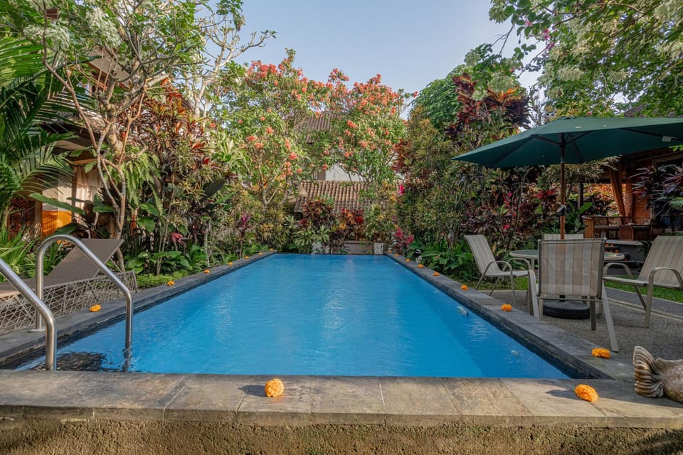 Garden, Garden view, Pool view, Swimming pool, Swimming pool, sunbed