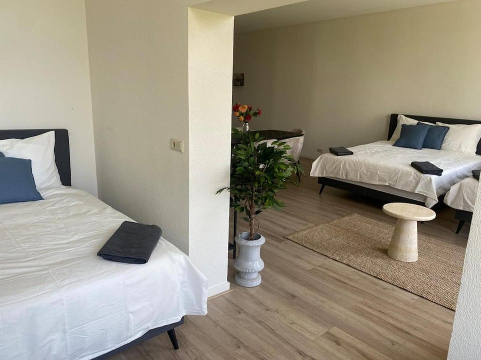 Cozy and best location! 6 person Apartment in Rotterdam