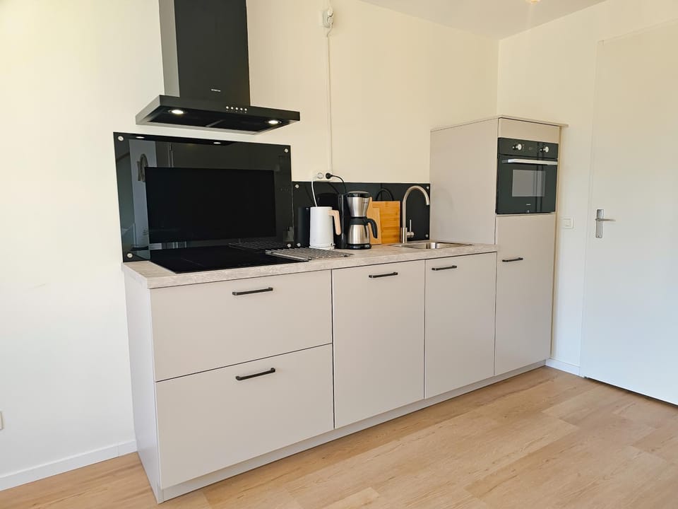 dishwasher, stove, kitchen