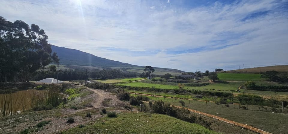 Day, Natural landscape, Lake view, Mountain view, River view