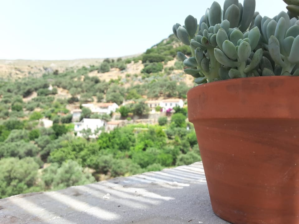 Neighbourhood, City view