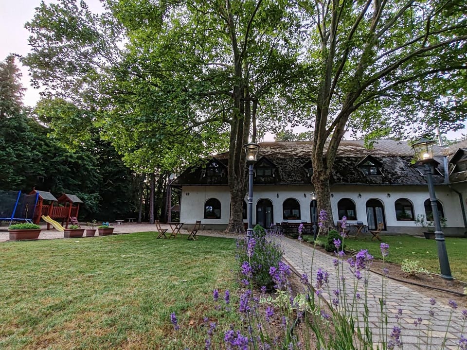Property building, Garden, Garden view