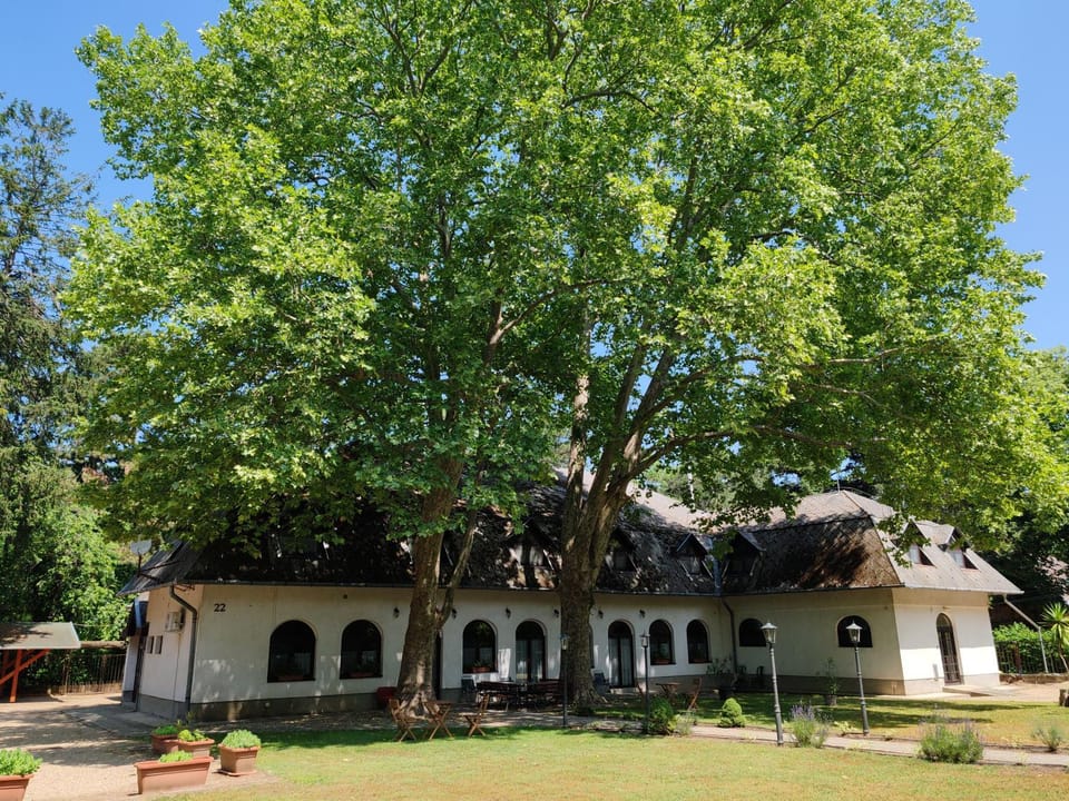 Property building, Natural landscape, Garden