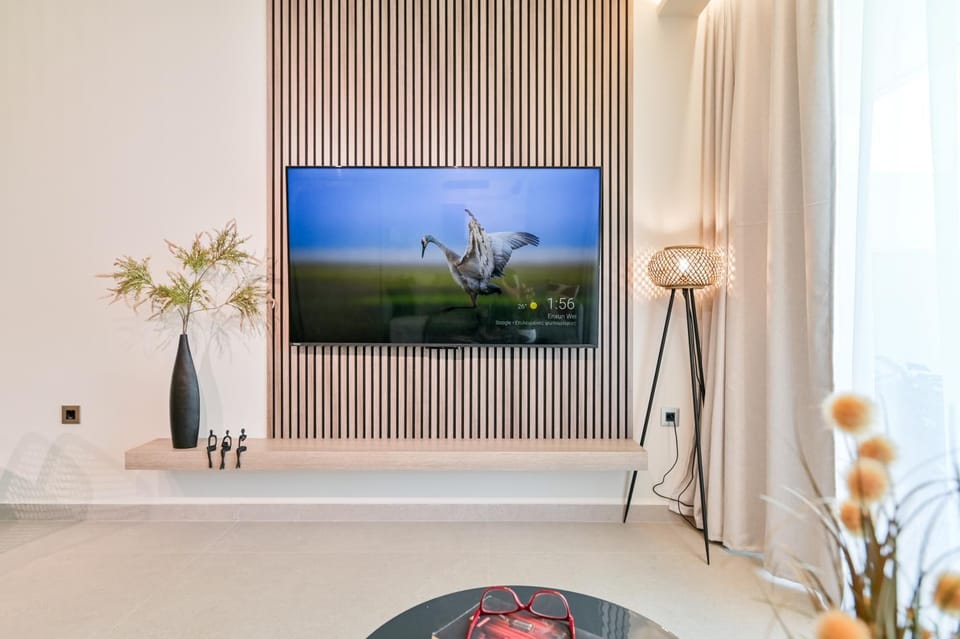 TV and multimedia