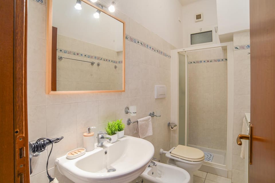 Shower, Toilet, Bathroom, bidet