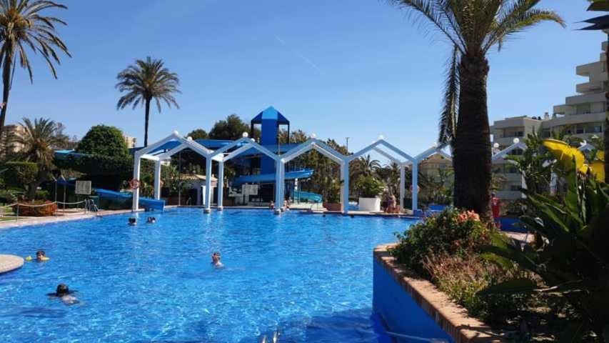 Aqua park, Swimming pool