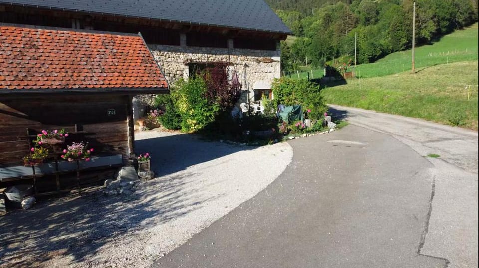 Property building, Garden view