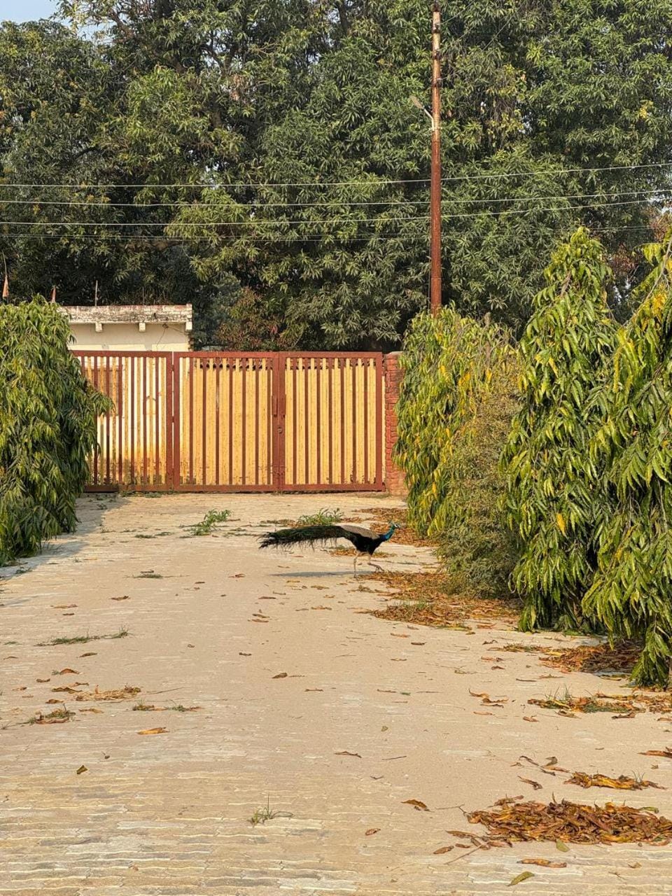 Sukoon Bagh Stays Farm Stay in Uttar Pradesh