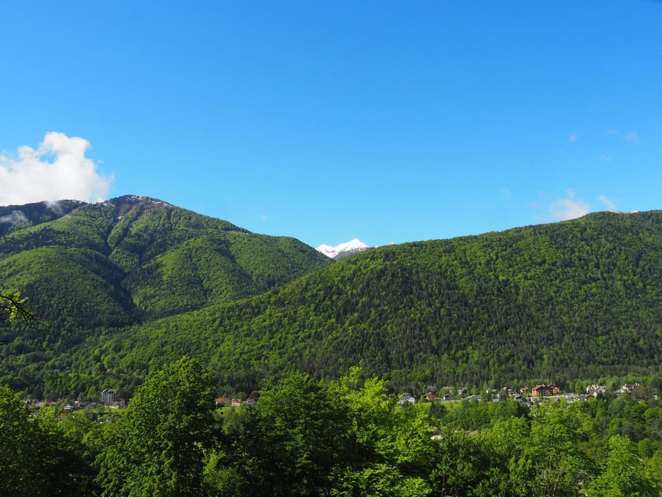 View (from property/room)