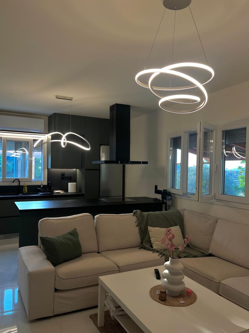 Living room, kitchen