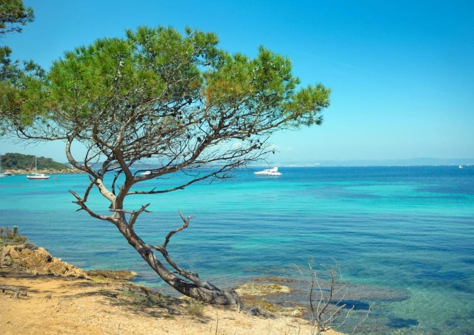 Charmant T1 climatisé avec Terrasse & Accès Piscine Apartment in Le Lavandou