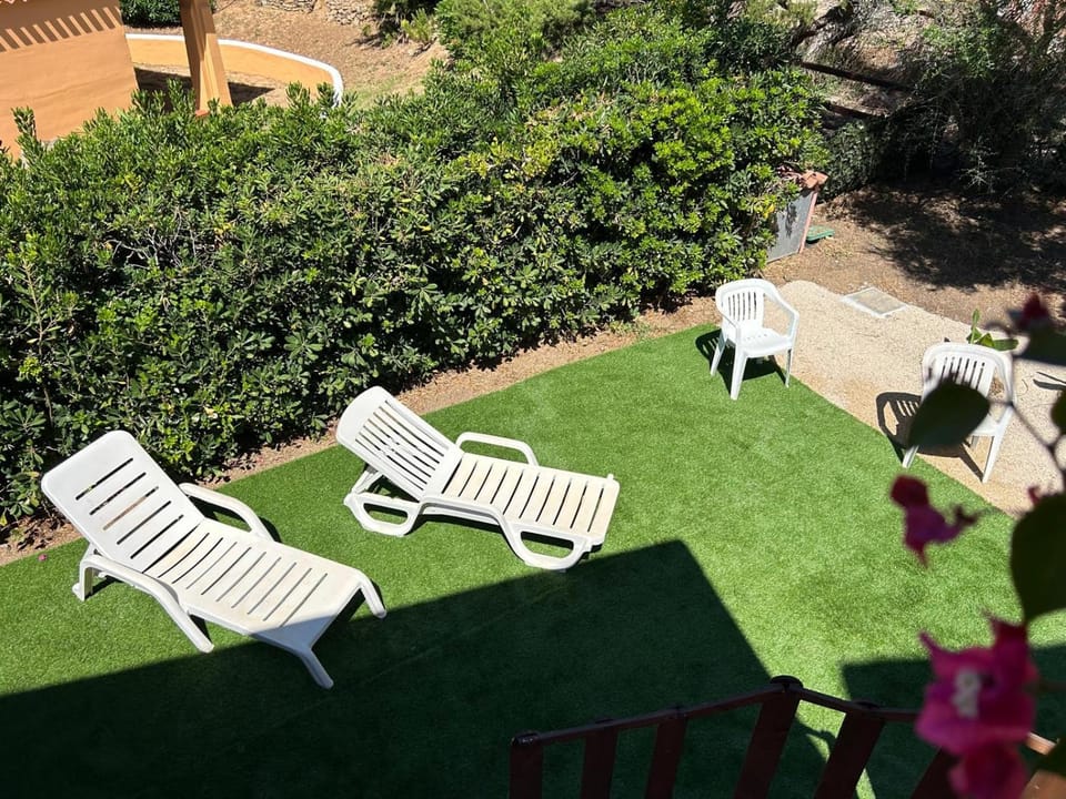 Patio, Garden, Garden view, sunbed