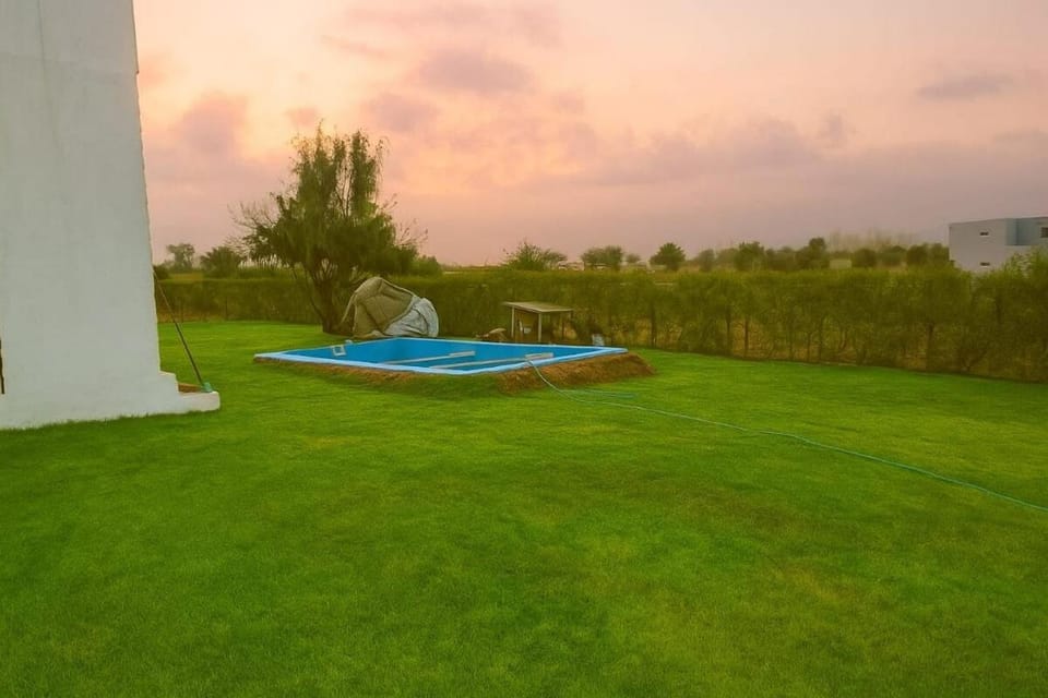 Natural landscape, Garden, Garden, Garden view, Pool view, Swimming pool, Swimming pool, Sunset