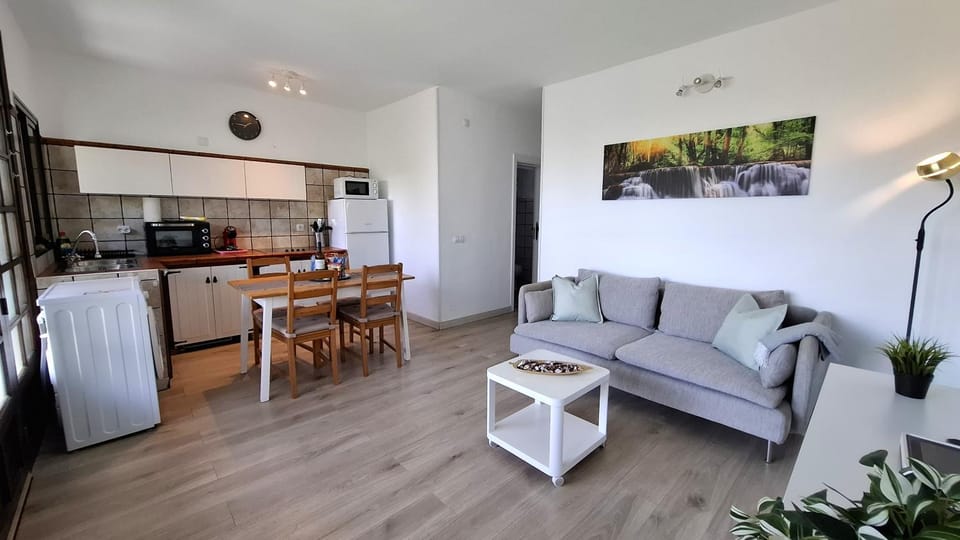 Kitchen or kitchenette, Living room, Seating area, Dining area, oven, stove