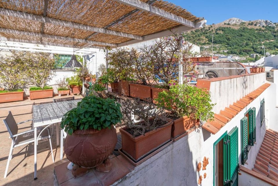 Patio, Balcony/Terrace