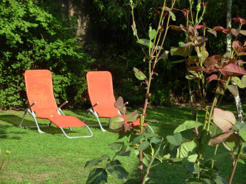 Patio, Garden