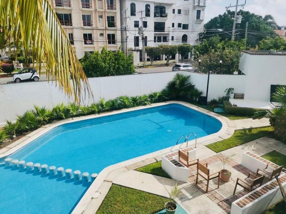 Garden, Garden, Swimming pool, Swimming pool