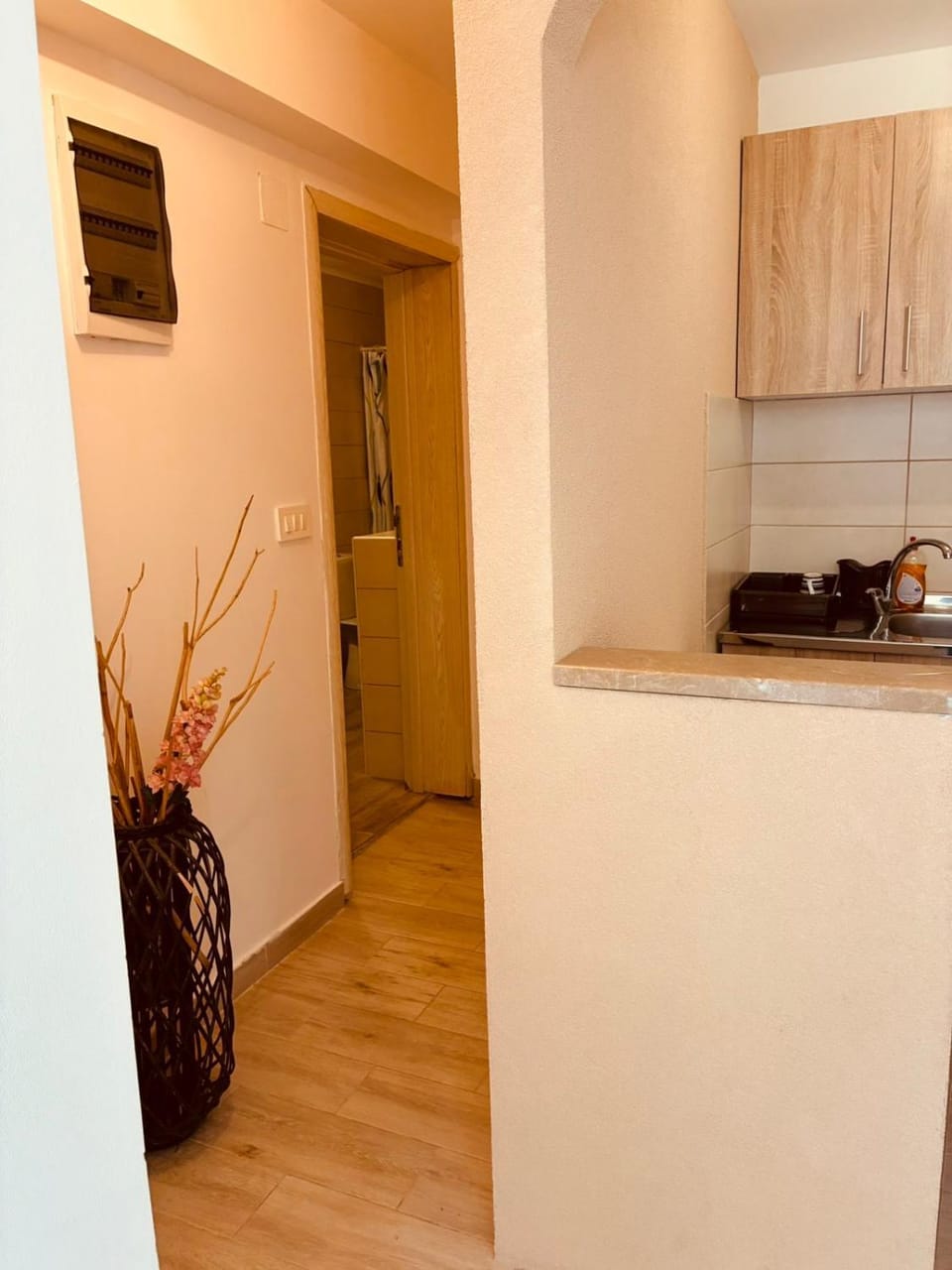 Asia Apartments Apartment in Kotor Municipality