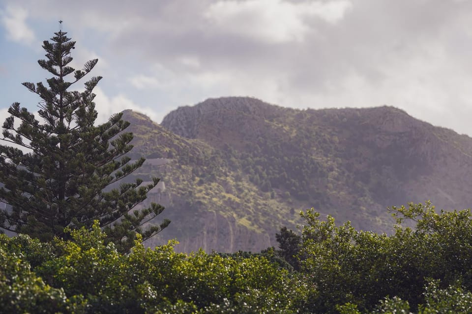 Mountain view