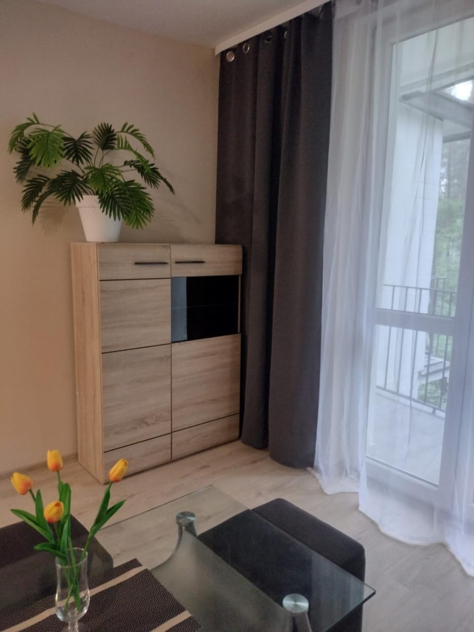 Positive energy 2 Apartment in Poland