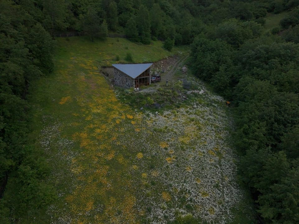 Property building, Spring, Natural landscape, Bird's eye view