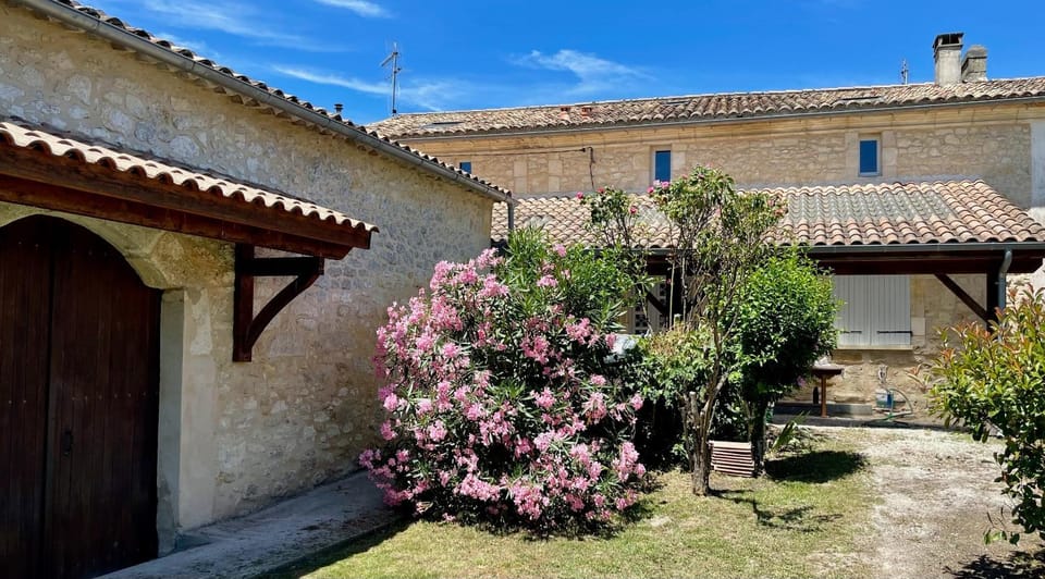 Property building, Garden view