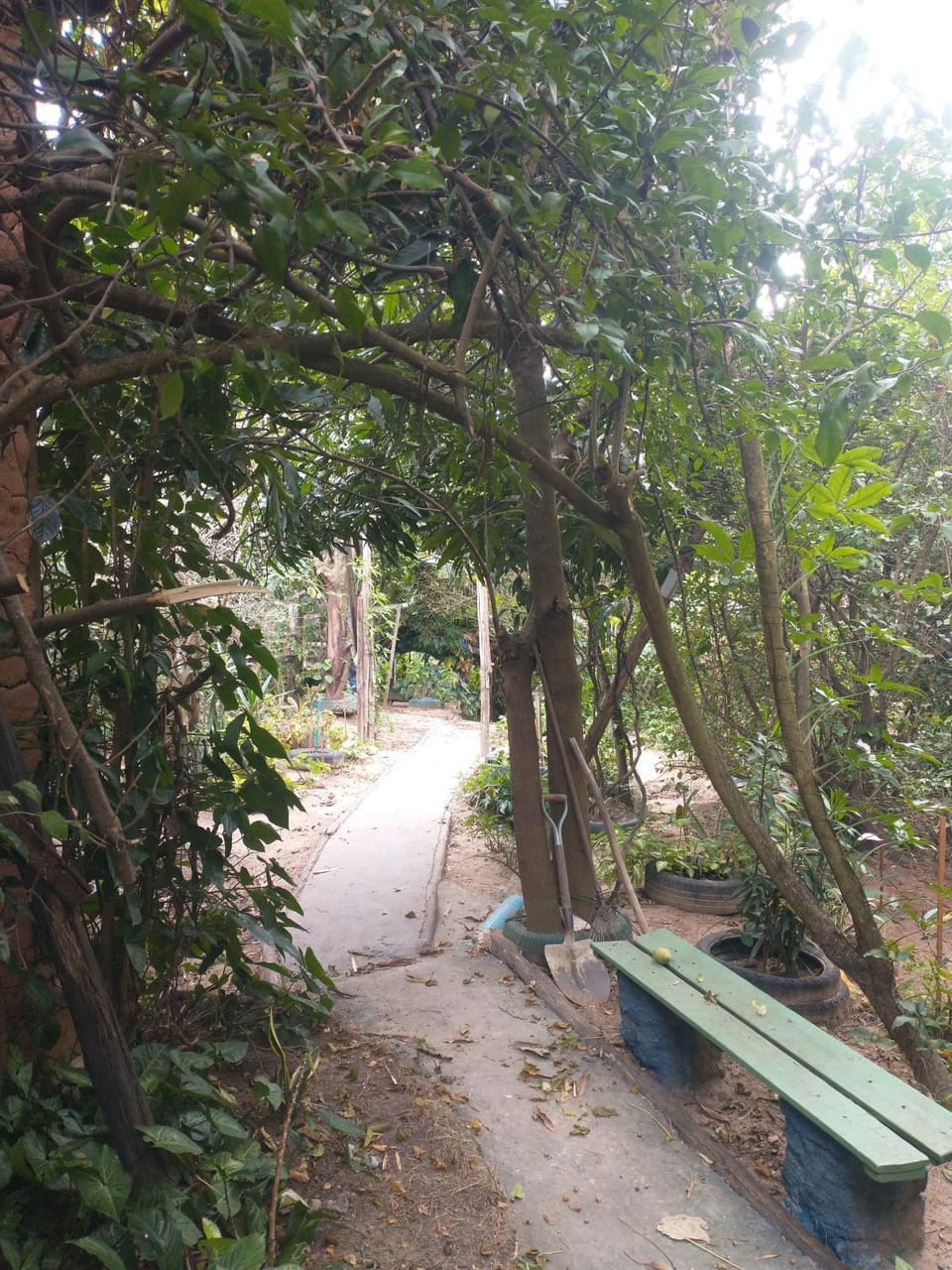 Garden, Hiking