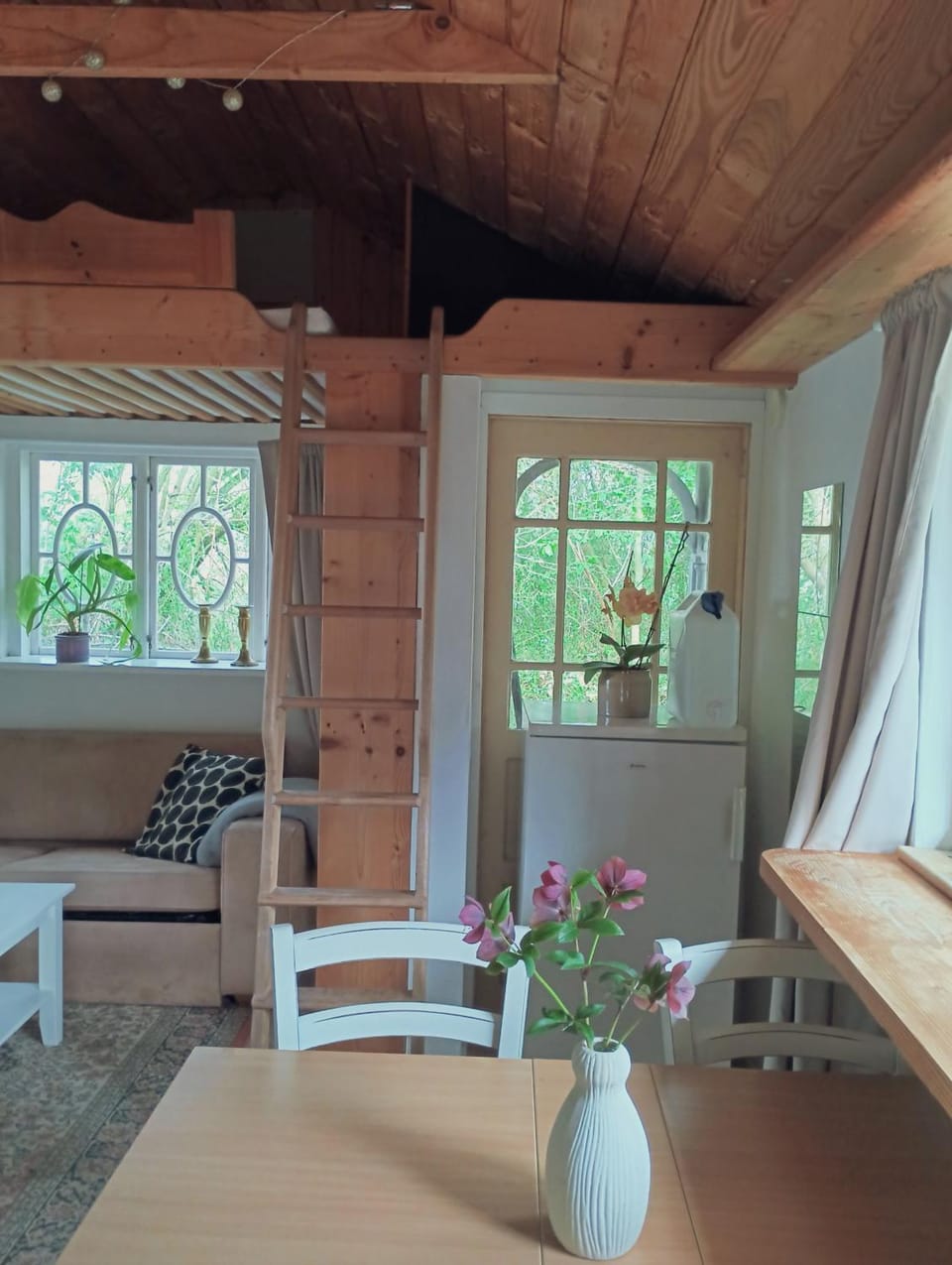 Living room, kitchen