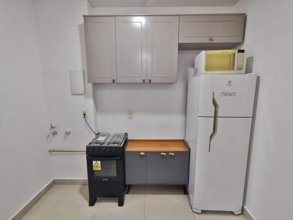 Kitchen or kitchenette, kitchen