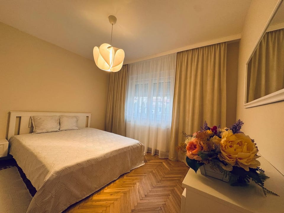 Serafina central Apartment Apartment in Hungary