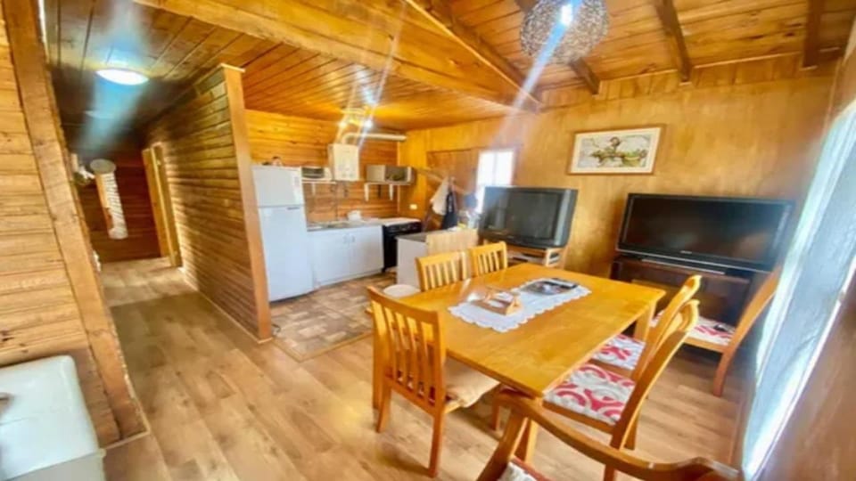 Kitchen or kitchenette, Dining area, oven