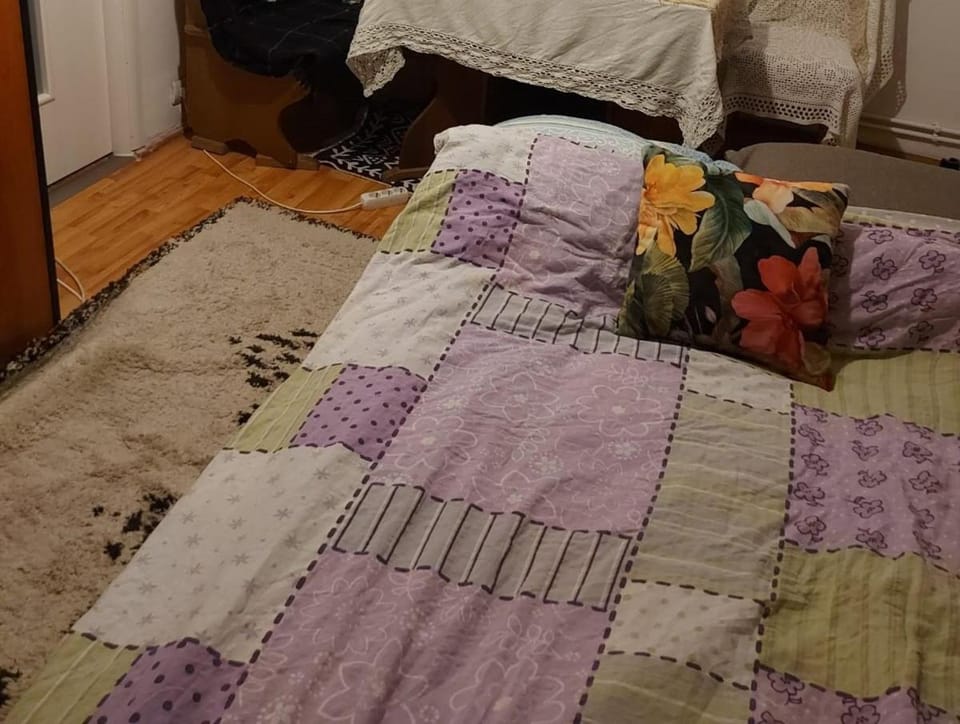 Cosy and Nice Apartment Mures Apartment in Romania