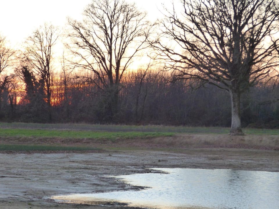 Natural landscape, Sunset