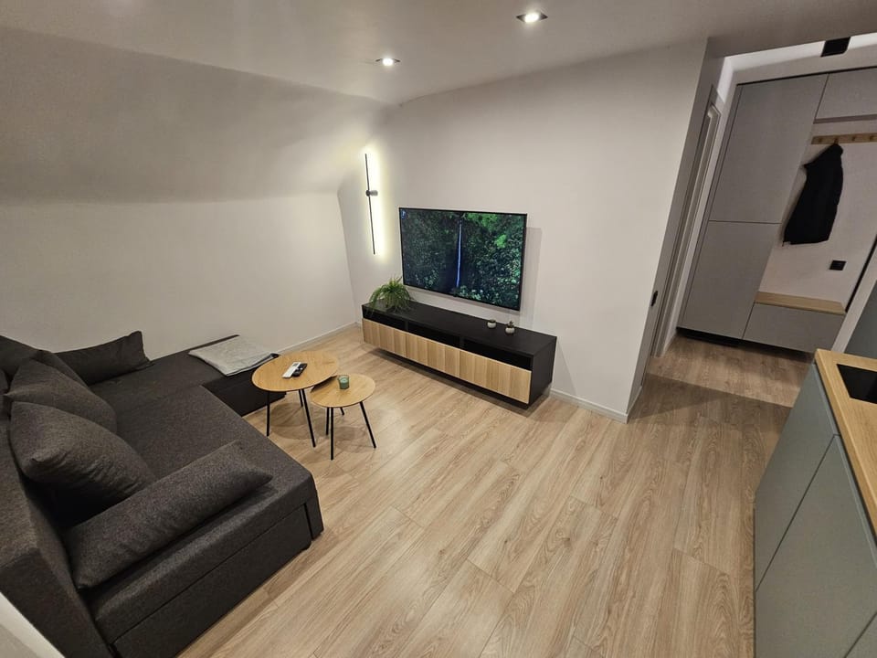 TV and multimedia, Kitchen or kitchenette, Living room, Seating area