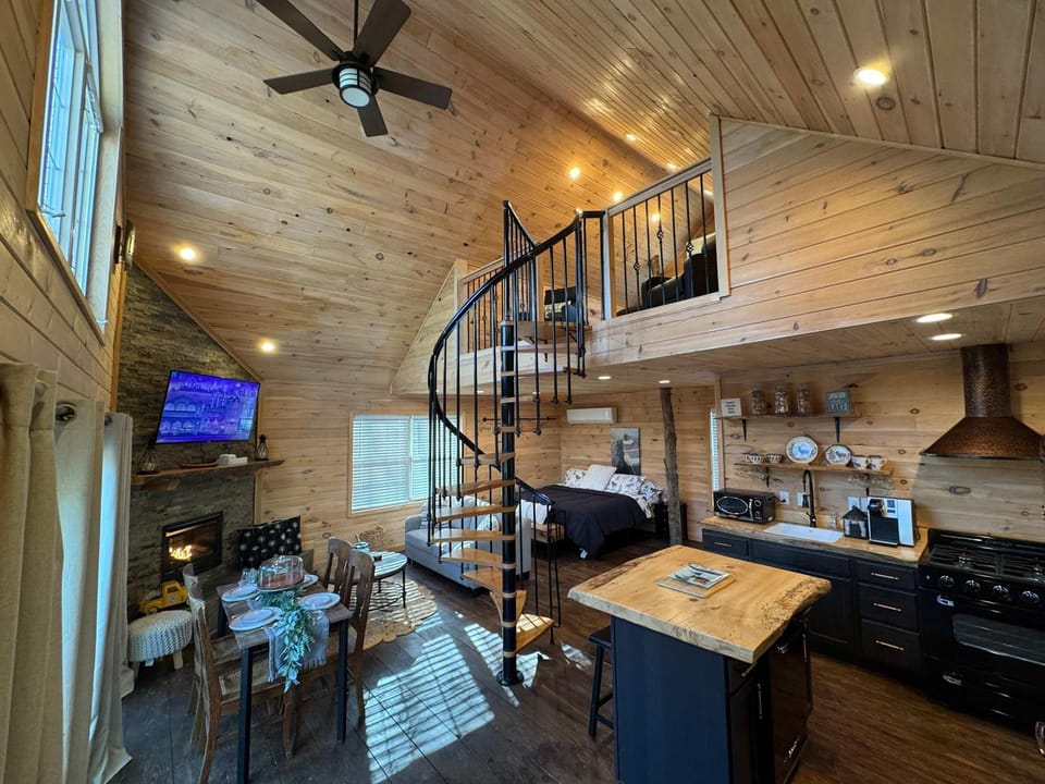 Photo of the whole room, pet friendly