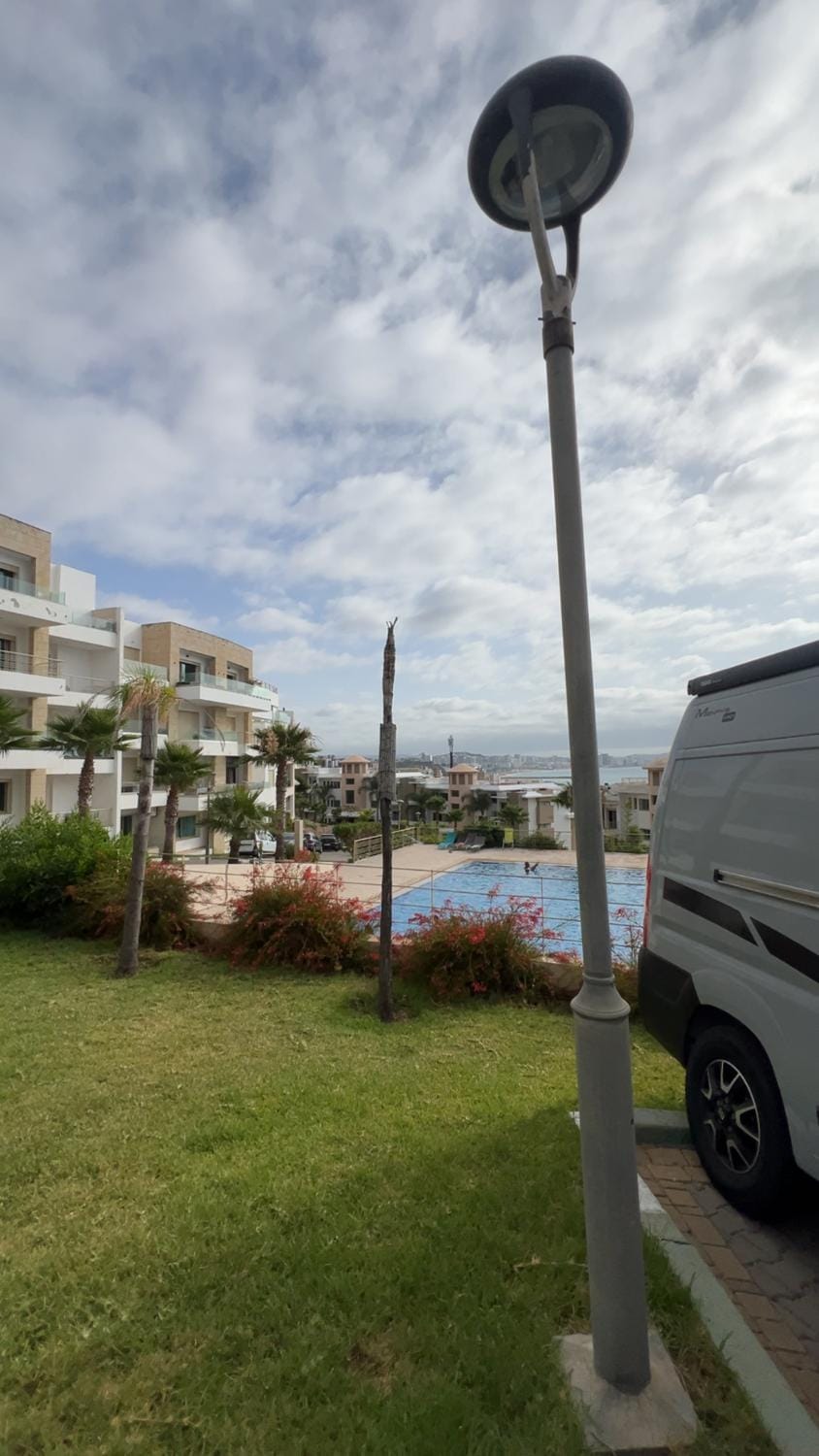 Garden, Pool view, Swimming pool