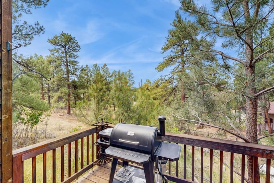 The Cub Cabin Cabin in Pagosa Springs