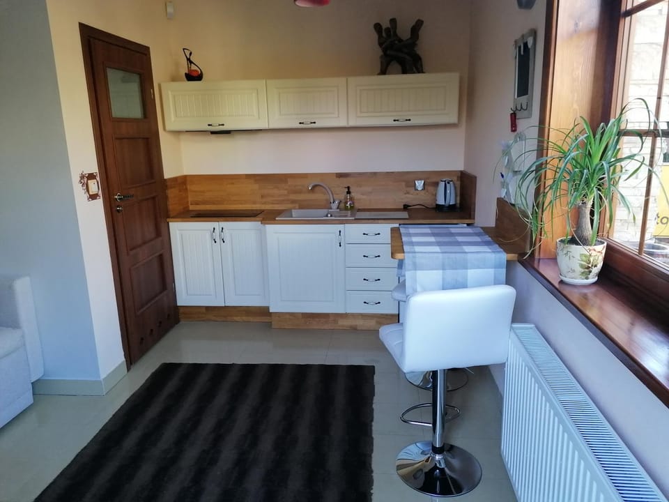 Studio Gdańsk Apartment in Gdansk