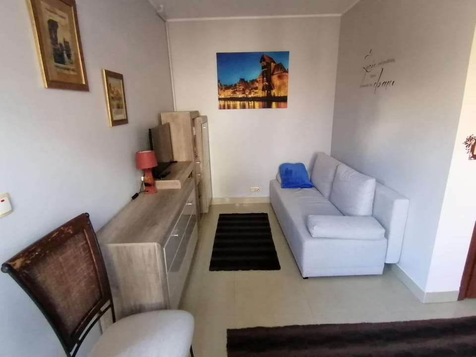 Studio Gdańsk Apartment in Gdansk