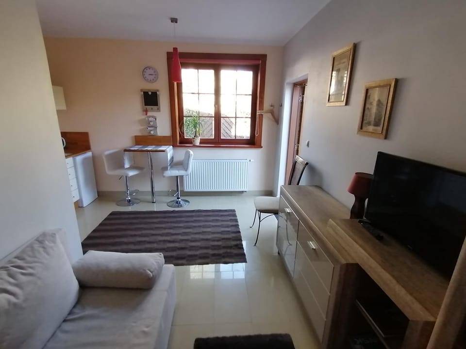 Studio Gdańsk Apartment in Gdansk