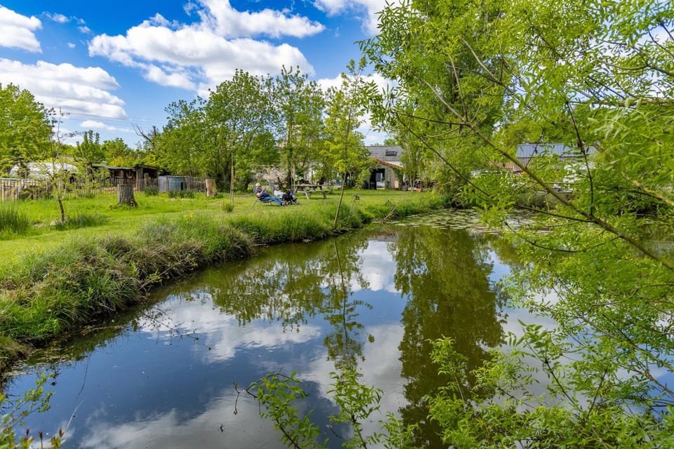 Spring, Natural landscape, Lake view