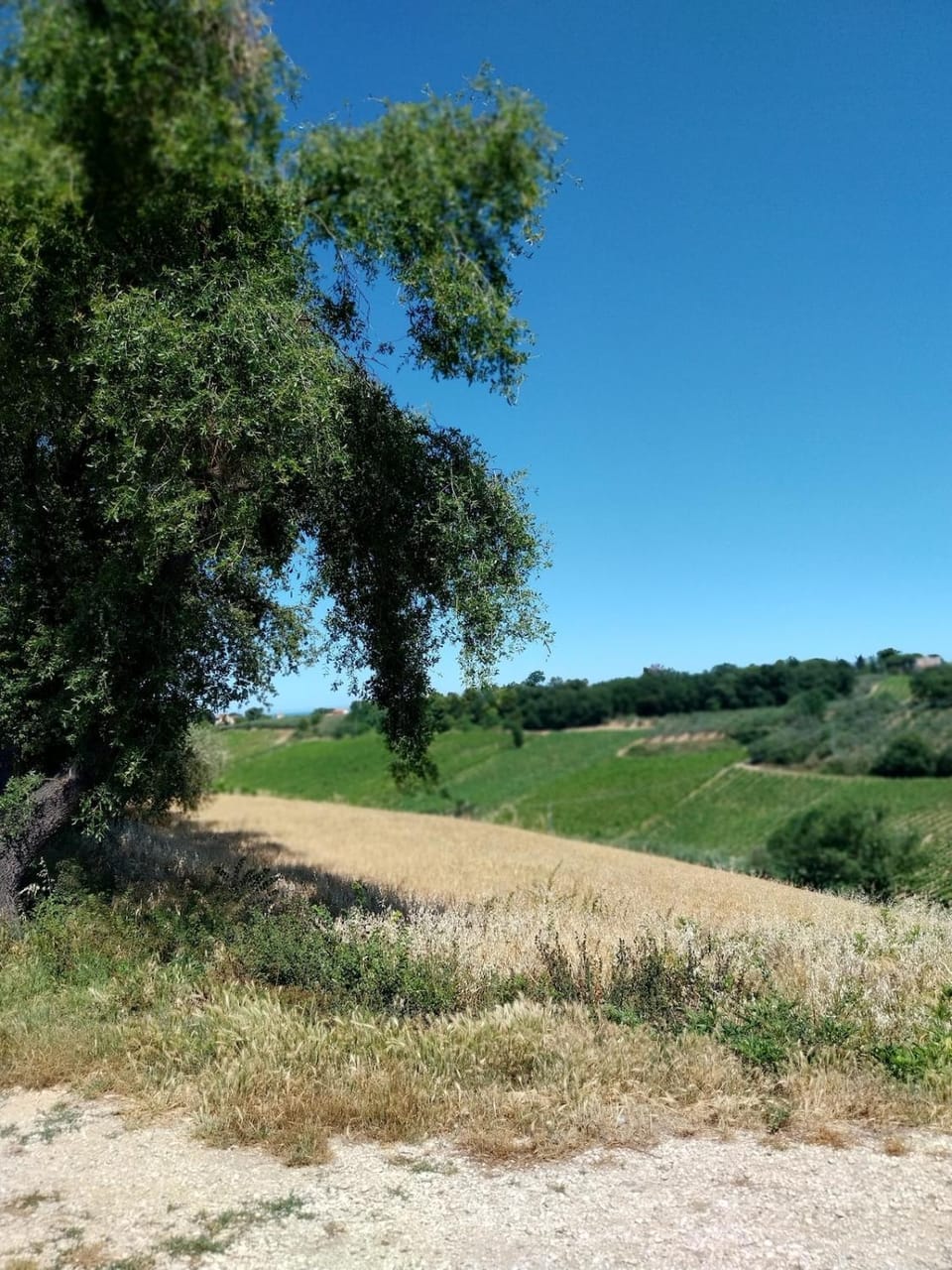 Alloggio Casale Stella Apartment in Abruzzo