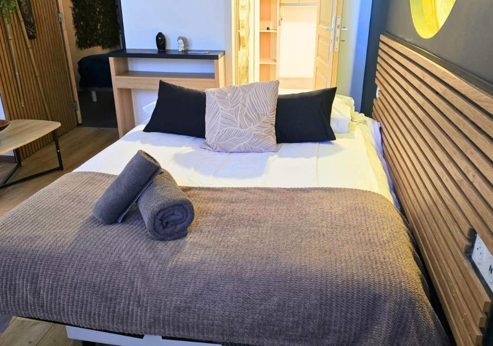 L'Evasion Zen au cœur de l'Alsace Apartment in Sélestat